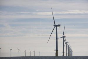 Nueva York saca a licitación un parque eólico marítimo de 800 megavatios