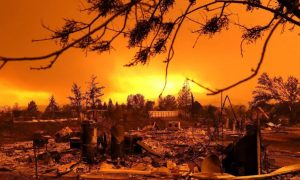 CALIFORNIA: Hallan ocho cuerpos más en incendios; ya hay 59 muertos