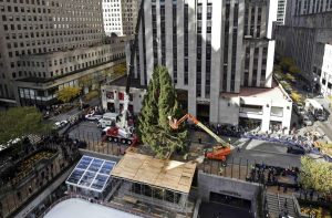 Suben el árbol de Navidad 2018 al Rockefeller Center