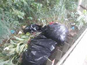 Encuentran ocho extremidades humanas en el Parque Mirador Norte Encuentran ocho extremidades humanas en el Parque Mirador Norte