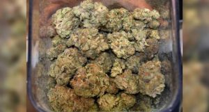 Nueva Jersey abrirá seis nuevos dispensarios para venta marihuana medicinal Nueva Jersey abrirá seis nuevos dispensarios para venta marihuana medicinal