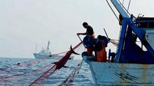 BAHAMAS: Detienen 7 dominicanos y otros extranjeros por varios cargos BAHAMAS: Detienen 7 dominicanos y otros extranjeros por varios cargos