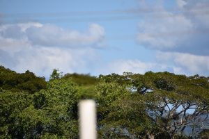 VILLA TAPIA: Energía y Minas confirma emanación de gas