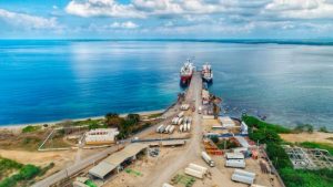 Baltic Shipping anuncia reinicio de transporte marítimo desde Manzanillo