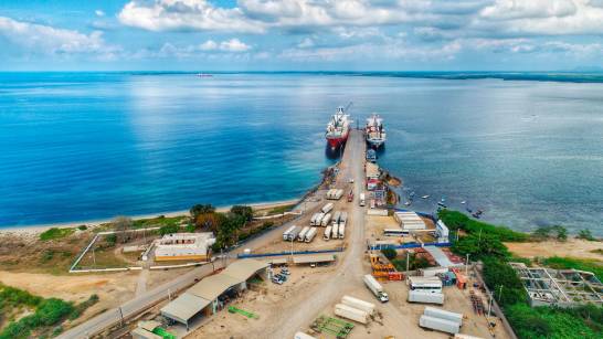 Baltic Shipping anuncia reinicio de transporte marítimo desde Manzanillo imagen