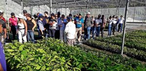 YAGUATE: Egehid reforesta en San Cristóbal y Peravia