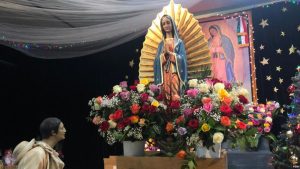 Estados Unidos se une a la celebración de la Virgen de Guadalupe Estados Unidos se une a la celebración de la Virgen de Guadalupe