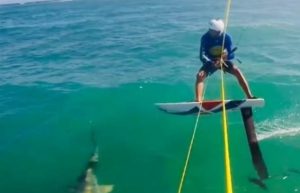 Surfista dominicano pasa tremendo susto al tropezar con un tiburón