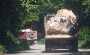 BARAHONA: Denuncian que empresa destruye bosque virgen zona costera