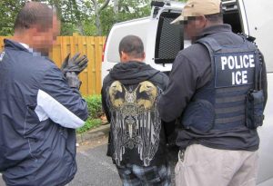 Inmigración detiene 118 indocumentados en 5 días