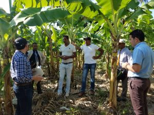 ADOPEM cea programa de créditos para proyectos medioambientales