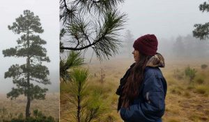 Meteorología advierte temperaturas 10 grados en localidades montañosas