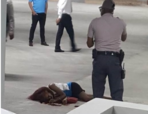Agente de seguridad mata a su pareja  y se suicida en parqueo de Caribe Tours
