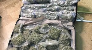 PUNTA CANA: Ocupan 52 paquetes de marihuana en el aeropuerto