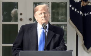 EEUU: Trump declara una emergencia nacional para construir muro con México