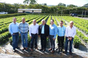 Induban entrega 200 mil plantas de café al Ministerio de Agricultura