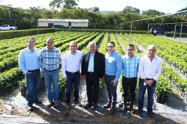 Induban entrega 200 mil plantas de café al Ministerio de Agricultura imagen