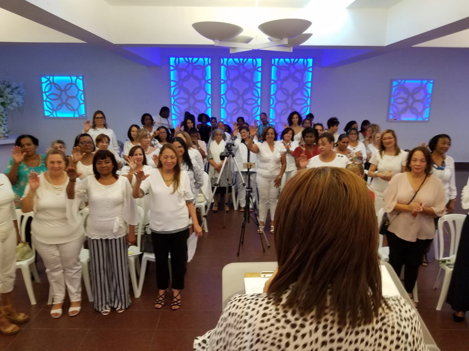 PUERTO RICO: Crean movimiento Damas H20 en apoyo a Hipólito Mejía imagen