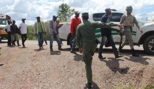 Deportarán 69 haitianos acusados de  cortar árboles en parque Los Haitises