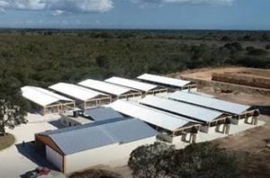 LA ROMANA: Presidente entrega granja cerdos con tecnología última generación