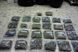 HAINA: DNCD decomisa 32 paquetes de marihuana sintética en el puerto