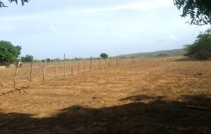 Onamet dice pese a las lluvias persiste la sequía en la República Dominicana