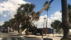 Ayuntamiento DN da los toques finales a  trabajos acondicionamiento Malecón SD