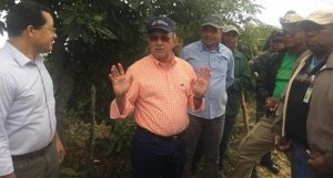 Medioambiente dispone reforestación de la parte alta de la Sierra de Bahoruco Medioambiente dispone reforestación de la parte alta de la Sierra de Bahoruco