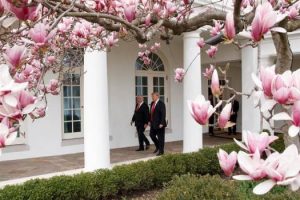 EEUU: La Casa Blanca reitera Trump cerrará frontera la próxima semana