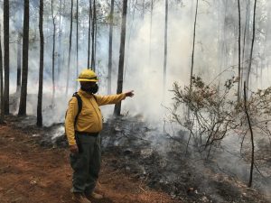 Fuego Sierra Bahoruco está controlado 90%; brigadas tratan eliminar humareda