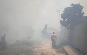 SPM: Bomberos combaten un incendio en la reserva ecológica Laguna de Mallén