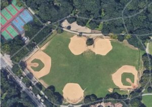Ydanis logra US$1.4 millones para la renovación de Inwood Hill Park