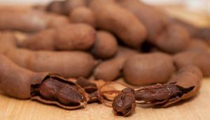 El tamarindo:  diurético, nutritivo y refrescante