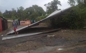 Un ventarrón derriba árboles y letreros, afecta viviendas en zona de Pimentel