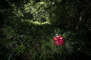 ESPAÑA: Anuncian exposición y libro de La Era Plasteozoica ESPAÑA: Anuncian exposición y libro de La Era Plasteozoica