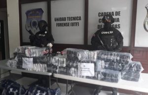 Decomisan en el Puerto de Caucedo 226 paquetes cocaína con destino a Holanda