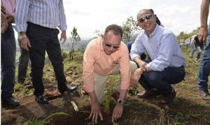 LA VEGA: Medio Ambiente siembra 10 mil árboles en Loma Guaigüí