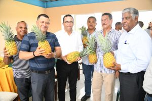 Navarro dice la política agropecuaria debe ir de la mano con desarrollo de RD