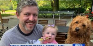 Perro pitbull atacó gravemente a familia que paseaba por Central Park