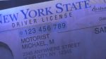 Asamblea de NY aprueba licencias de conducir para indocumentados