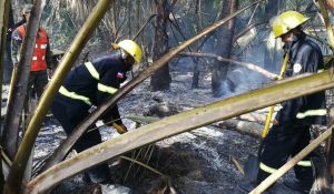 El Ejército envía apoyo a los bomberos combaten incendio forestal en Bávaro