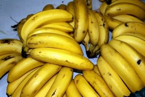 Ente regional advierte de plaga en banano y pide prevenir propagación