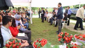 Danilo financia productores fresas de Jarabacoa y a cafetaleros de Villa Trina
