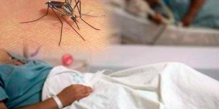 No casos de covid-19 pero sí de dengue en hospital Robert Reid C.