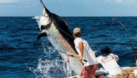 La ciudad destino celebrará Cap Cana Classic de pesca deportiva La ciudad destino celebrará Cap Cana Classic de pesca deportiva
