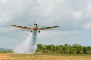 Miles productores arroceros tendrán servicio de fumigación aérea gratis