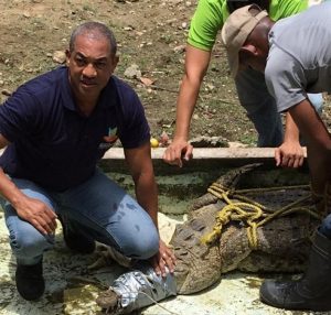 SAN CRISTOBAL: Confiscan reptiles y aves exóticas de un centro turístico SAN CRISTOBAL: Confiscan reptiles y aves exóticas de un centro turístico
