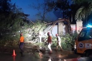 SANTIAGO: Dos ventarrones derriban postes, árboles y afectan viviendas SANTIAGO: Dos ventarrones derriban postes, árboles y afectan viviendas