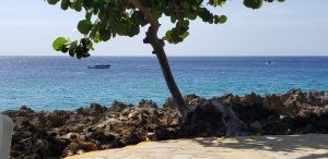 Promueven campaña de Sosúa “Rescatemos Nuestro Paraíso”