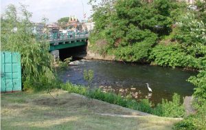 Policía y bomberos rescatan cadáver de un hombre de río Policía y bomberos rescatan cadáver de un hombre de río